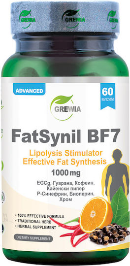 Grewia FatSynil BF7 P-Synephrine с Кофеин / Термогенни Стимуланти 1000мг и Вкус Гуарана 60 Капсули