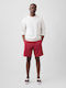 Men's Khaki Shorts