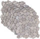 vidaXL Boden/Wand Fliese Innenbereich Matt 30x30cm Taupe