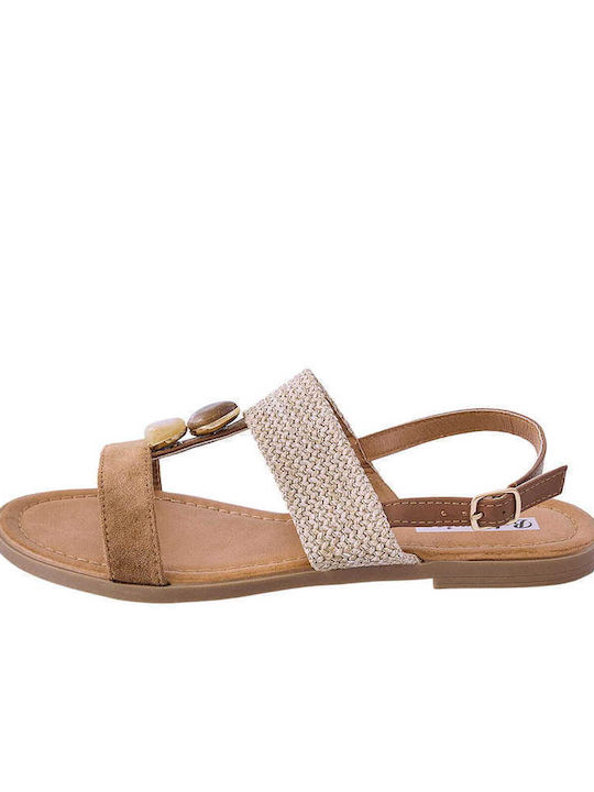 Celestino SQ7741A271 Celestino SQ7741A271