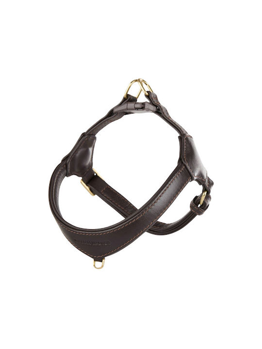 William Walker Pico Leder Step-in Hundegeschirre Braun Kleine Hunde & Welpen X-Small 33-40cm