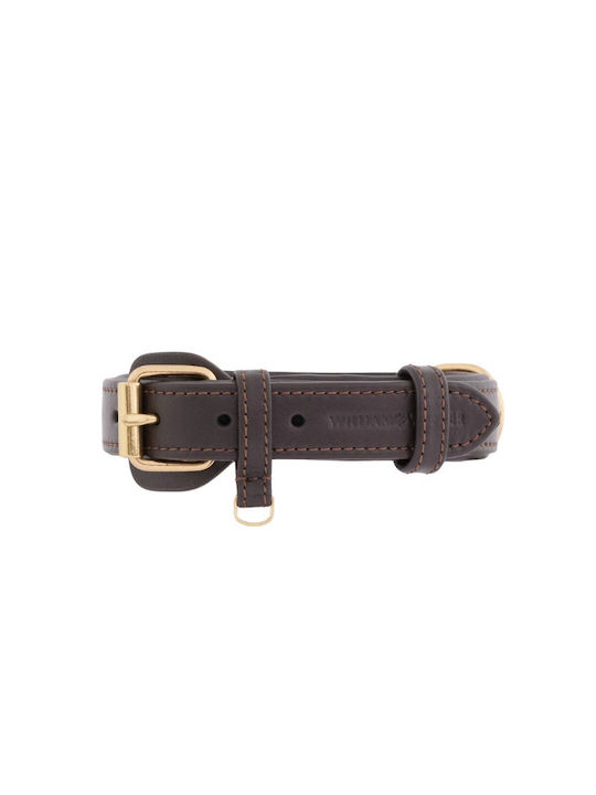 William Walker Guler Pentru Câini Din Piele Maro Plain Collection XL 50cm