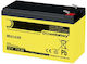 Goobay Baterie UPS cu Tensiune 12V