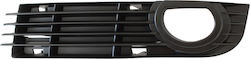 Audi A8 D3 05-10 Left Bumper Grille Cover Audi A8 D3 05-10 Left Bumper Grille Cover