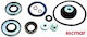 Johnson Evinrude 9 9-15 Horsepower Gearbox Flange Set