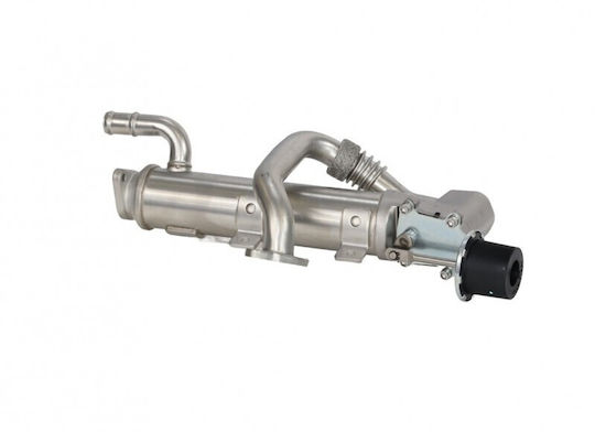 EGR Wärmetauscher Audi A4 B7 02 03g131512c