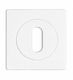Square Interior Door Rosette Metal Backplate Simple Key White