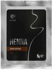 Lovely Brow 5 г
