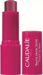 Caudalie Lip Balm 4.5gr Caudalie Lip Balm 4.5gr