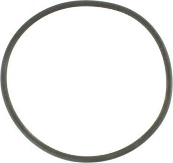 O-ring Iveco Daily 14 Αντλία Λαδιού 192548