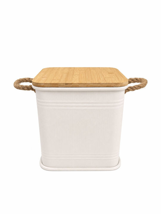 Metallic Storage Box with Lid Beige 31x31x32.5cm