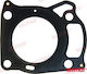 Cylinder Head Gasket Suzuki Outboard Df4 Df5 Df6 11141-91jl0