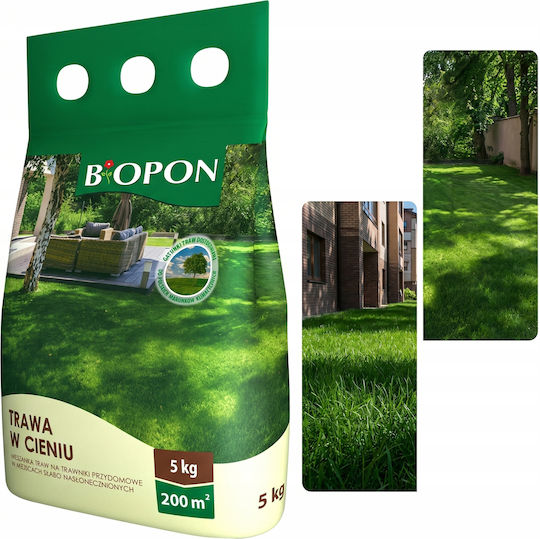 Bros Semințe Varză Verde Bros Semințe Varză Verde