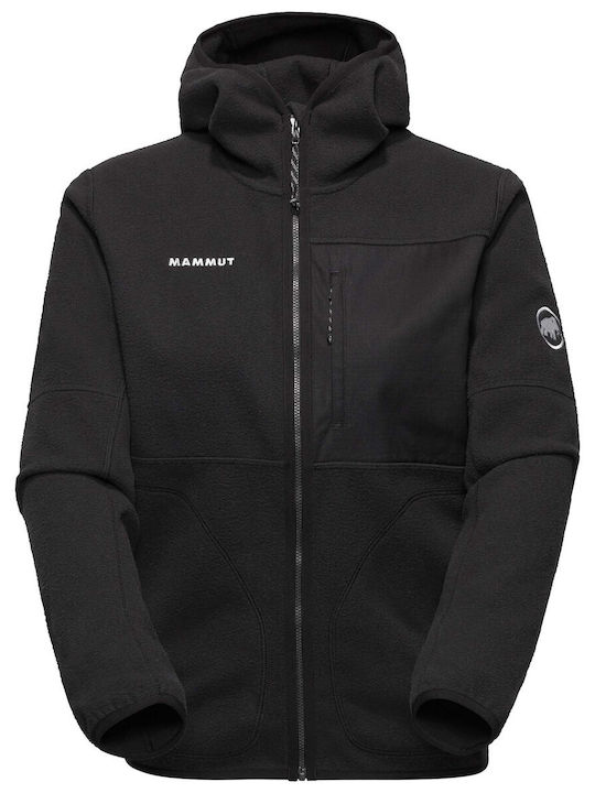 Mammut