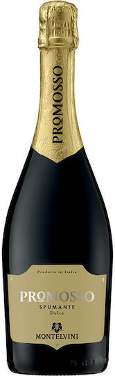 Montelvini Wine Spumante Dolce Muscat White Sweet Semi-Sparkling 750ml
