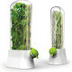 Ecarla Fresh Herb Storage Container Refrigerator Poj09