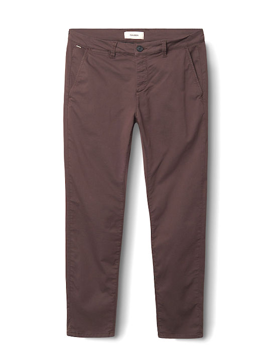 Paul Herrenhose Chino Elastisch in Schlank Passform Burgundisch