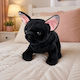 Lean Toys Plush Toy 22 cm