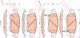 Trw Gdb3503 Brake Pad Set Disc Brake