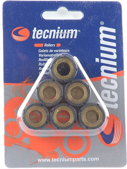 Tecnium Vicma Motorradkupplungskits & -komponenten Variator Rollen 15x12mm 6g Scooter 6 Stück 3913
