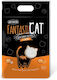 Pet Natura Fantasticat Άμμος Γάτας χωρίς Άρωμα 5lt