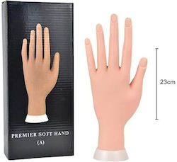 Educational Hand Aesthetics Educational Hand Aesthetics