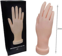 Educational Hand Aesthetics Educational Hand Aesthetics