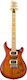 PRS Guitars Elektrische Gitarre