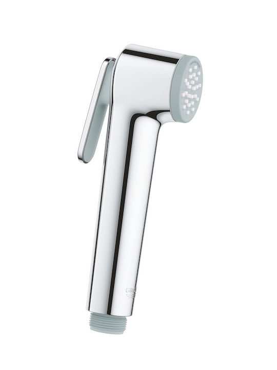 Grohe Telefon Bideu Argintiu
