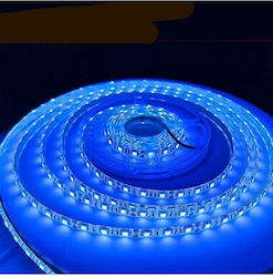 Bandă LED Impermeabilă 24V Lumină Albastră 5m Tip SMD5050 cu Sursă de Alimentare Bandă LED Impermeabilă 24V Lumină Albastră 5m Tip SMD5050 cu Sursă de Alimentare