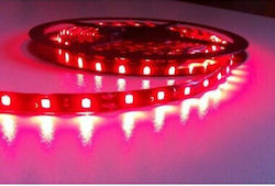 Bandă LED 12V Lumină Roșie 0.127m Tip SMD3528 Bandă LED 12V Lumină Roșie 0.127m Tip SMD3528