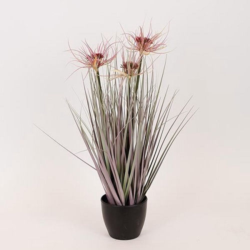 Plantă Iarbă Floare Roz Ghiveci Plastic 54cm