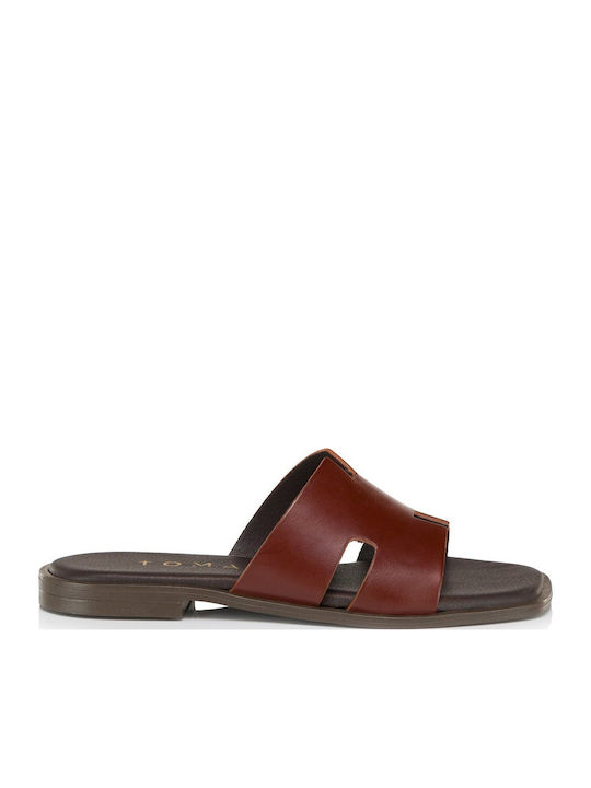 Tomas Shoes