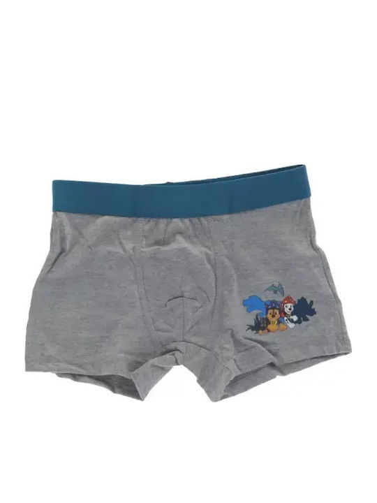 Nickelodeon Paw Patrol Kinderunterwäsche Boxer Grau