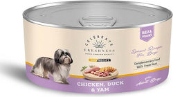 Celebrate Freshness Wet Food 170gr Celebrate Freshness Wet Food 170gr