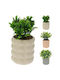Artificial Plant Ceramic Pot 18cm Beige