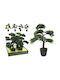Artificial Bonsai Potted Plant 50cm Decorative Grass
