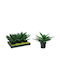 Artificial Aloe Plant Black Pot 22cm