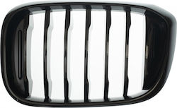 ABC Parts Front Bumper Grill Compatible with BMW X3 2017-2020