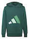 Kinder-Sweatshirt mit Kapuze und Taschen Grün