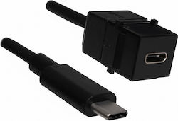 Bachmann USB-C Female USB-C Male Cable USB-C Female USB-C Male 0.5m 917.1212 1 Piece Bachmann USB-C Female USB-C Male Cable USB-C Female USB-C Male 0.5m 917.1212 1 Piece