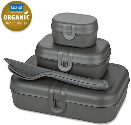 Koziol Set Plastic Lunch Boxes Grey 23x17cm 3 Pieces