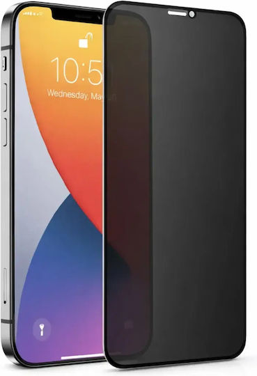 5D Privacy Full Face Tempered Glass (iPhone 13 Pro Max)
