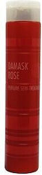 Chihtsai Conditioner 250ml