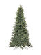 Christmas Tree Wall with Pine Nuts 230cm