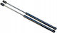 Actuators X2 Tailgate Telescopes Opel Vectra C Hb Gts