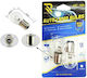 Rchang Car Lamp 12v 6500k P21w 1009 Auto Lamp Bulbs