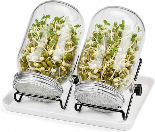 Relaxdays Set of 2 General Use Glass Jars with Lid and Stand