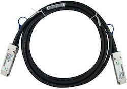 BlueOptics 10411-BL U/UTP Καλώδιο Ethernet 1m BlueOptics 10411-BL U/UTP Καλώδιο Ethernet 1m
