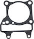 Cylinder Base Gasket OEM XDV125EVO 153-10-185110